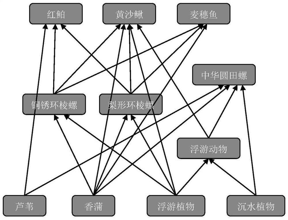 A method for evaluating the implementation effect of wetland ecological water replenishment by using food web stability