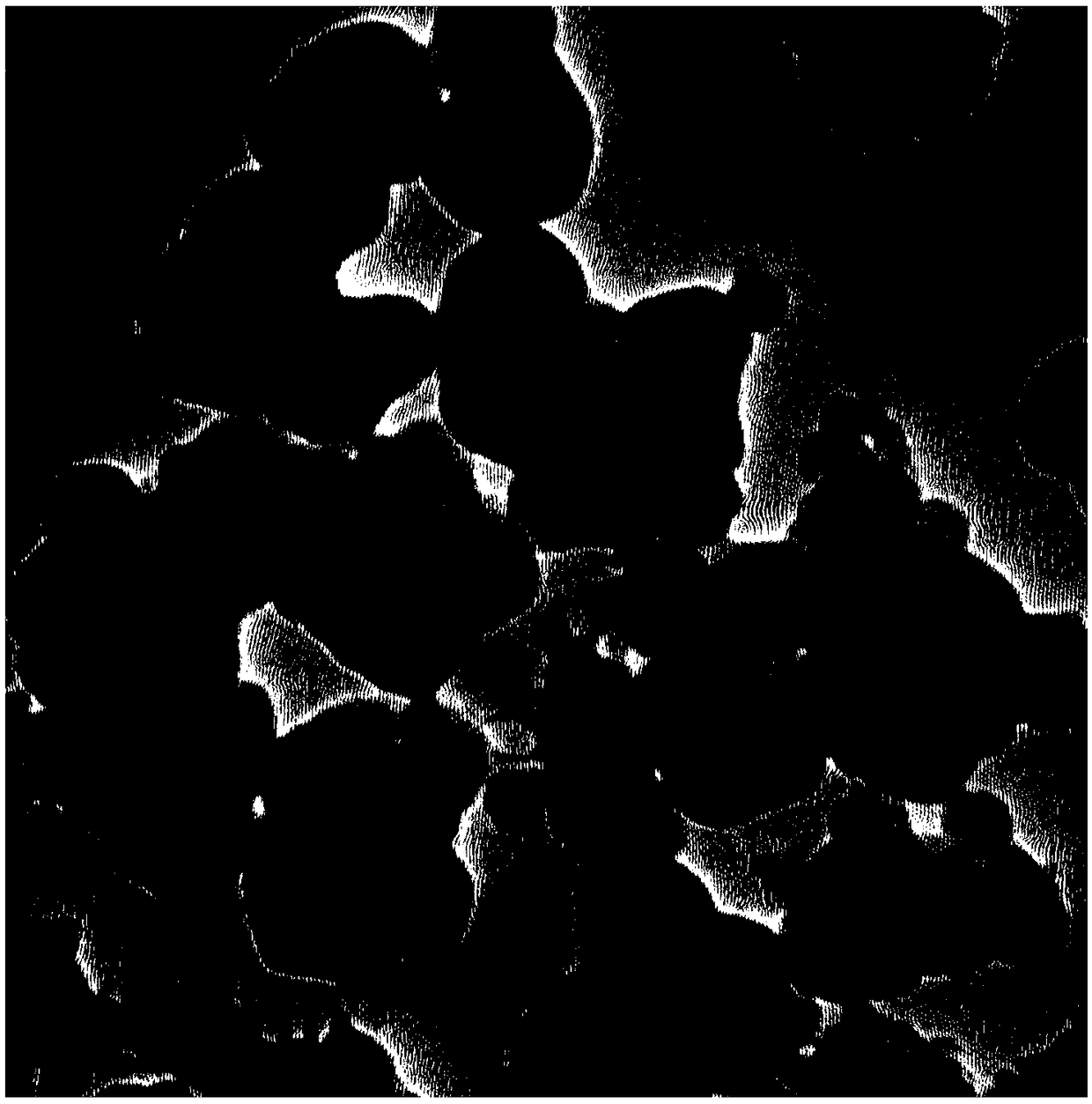 Preparation method and application of metal organic framework drug carrier system based on cytosine arabinoside micromolecule prodrug