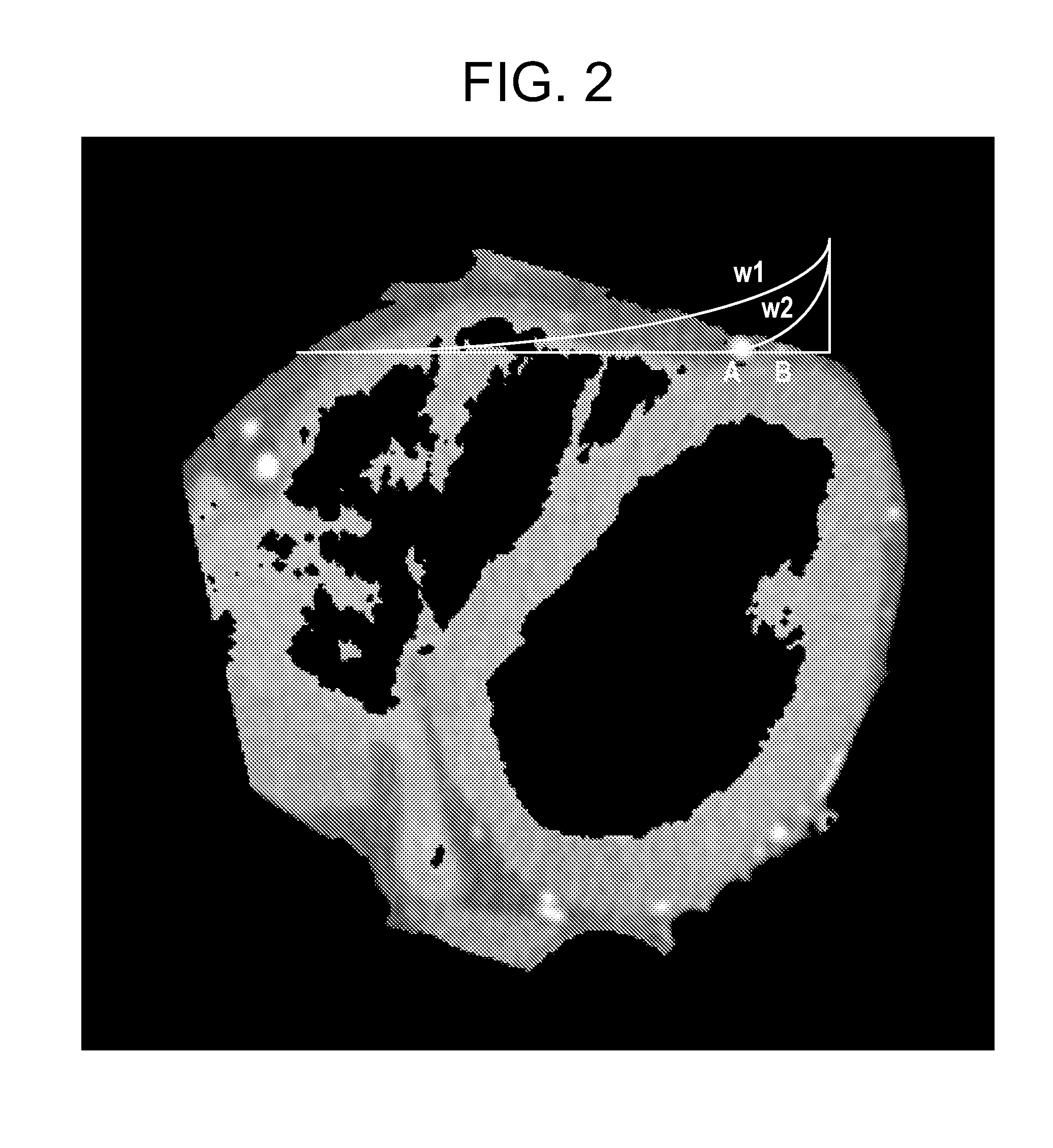 Maximum intensity projection performing method and apparatus