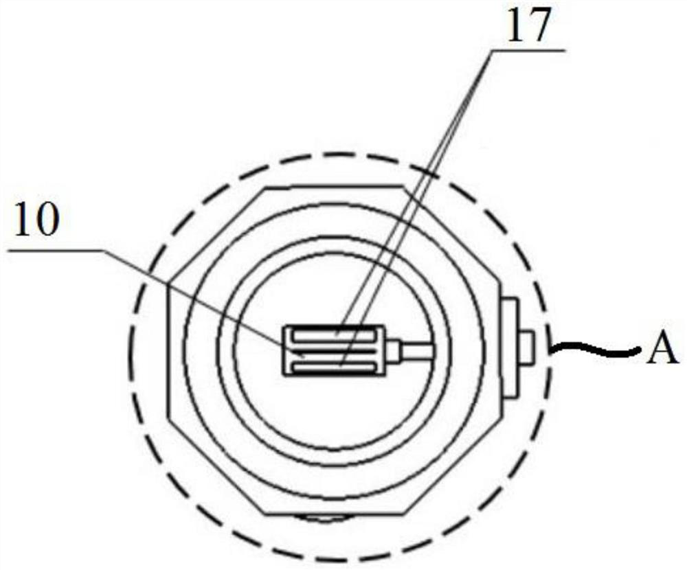 Laser additive manufacturing molten pool structure evolution in-situ observation device and method