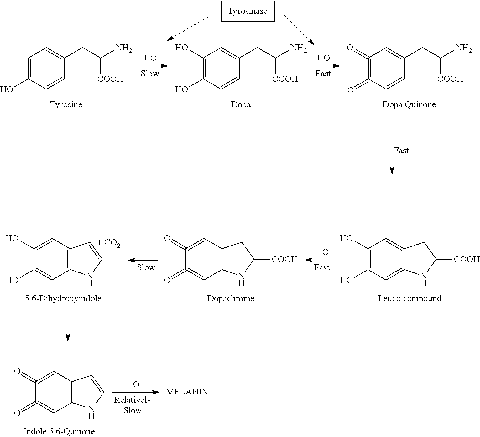 Melanin promoting topical composition