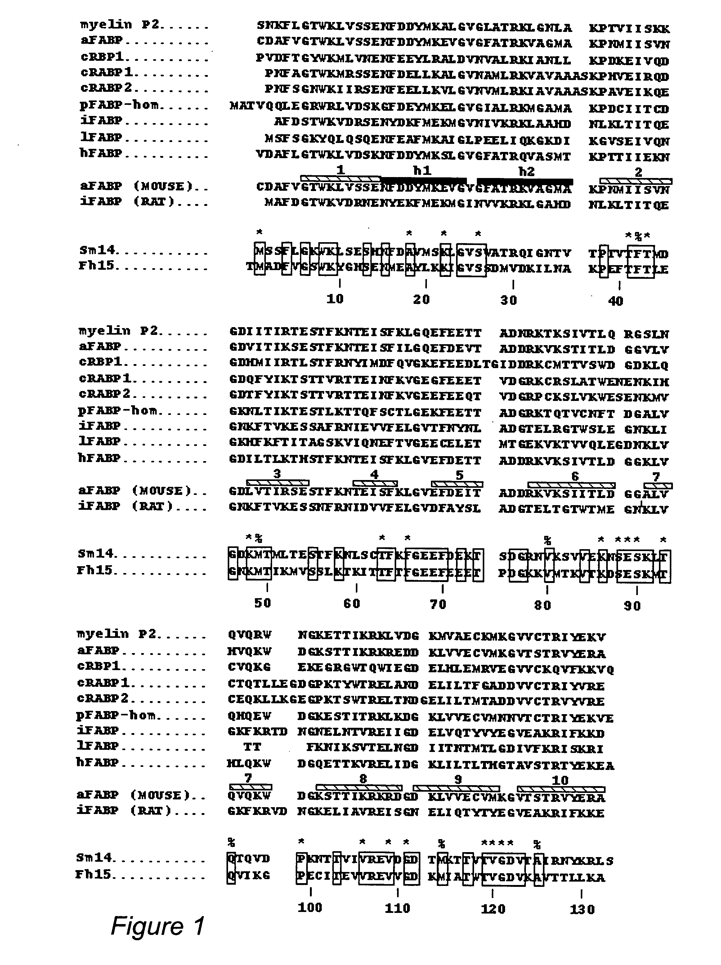 Synthetic active peptide fragments