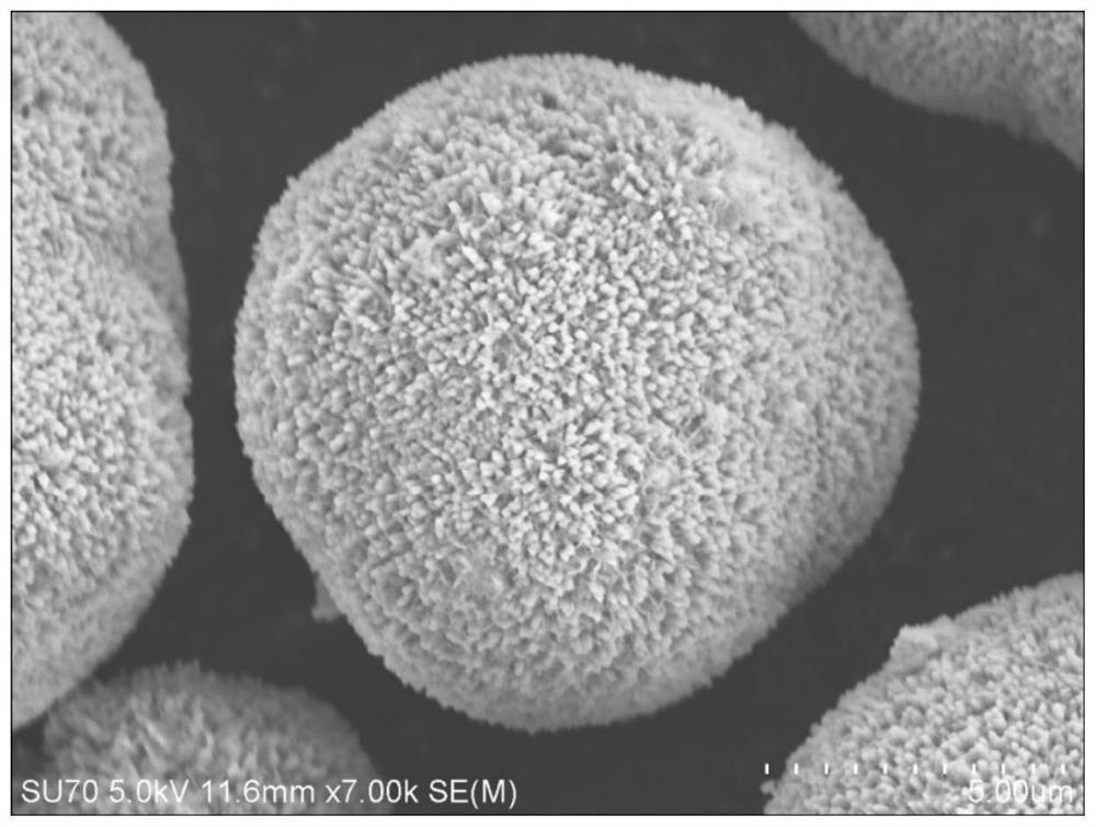 Preparation method and application of cobalt-free positive electrode precursor material of lithium ion battery