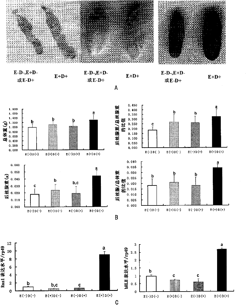 Transgenic method for improving silk yield