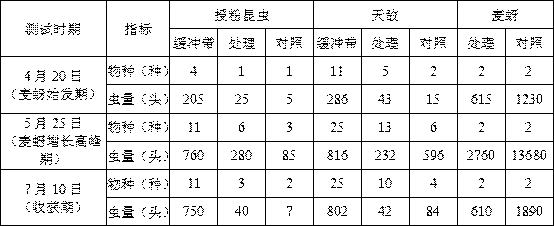 Flower and plant combination for increasing natural enemies and controlling pests in spring wheat field and application