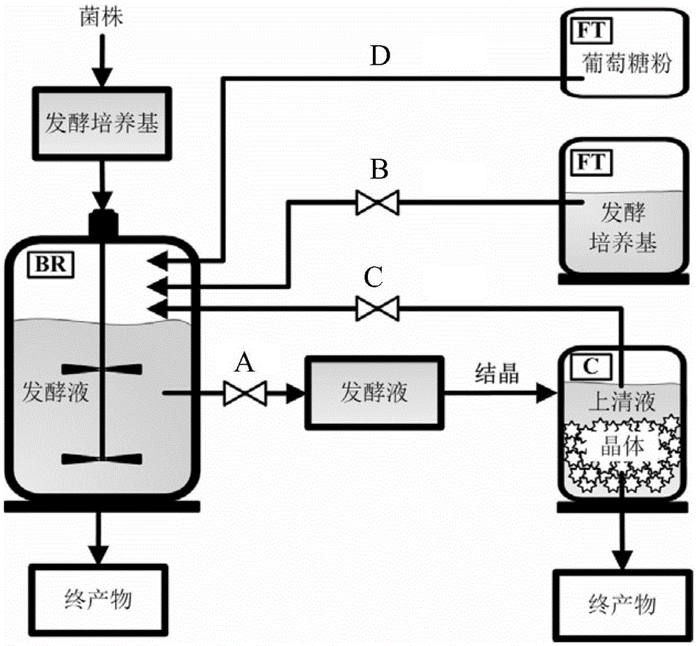 A strain of Bacillus coagulans and its application in in situ product separation and fermentation to produce calcium lactate