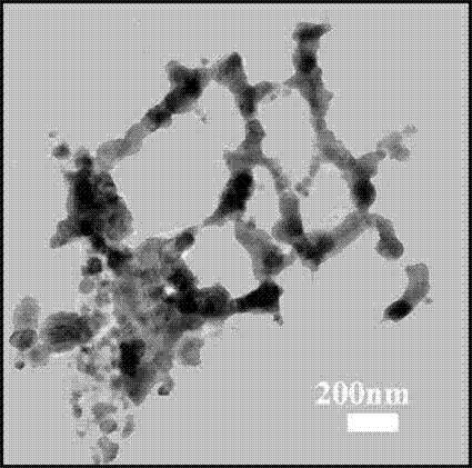 Carbon-layer-coated nano iron having butterfly wing microscopic structure and preparation method thereof