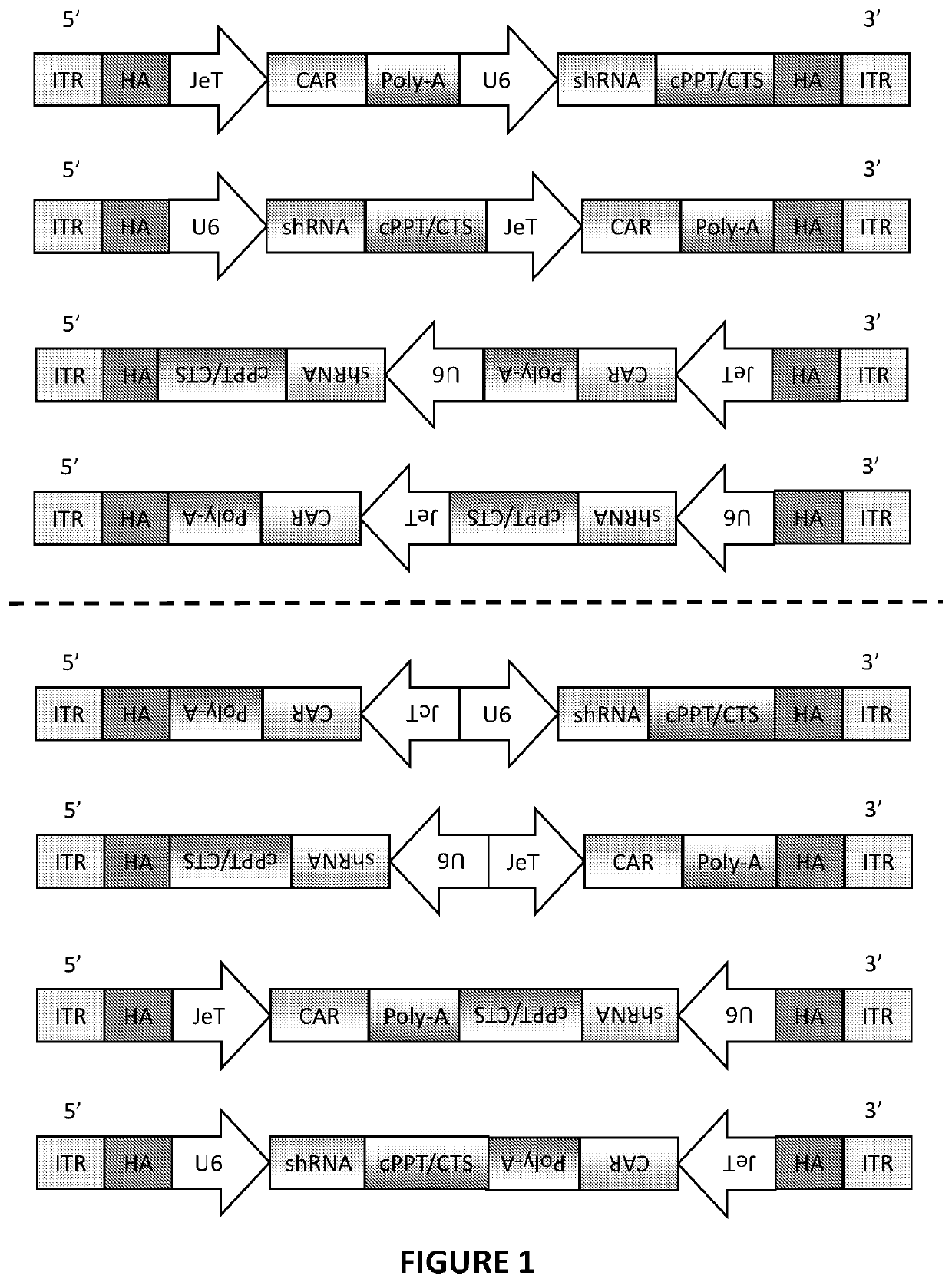 Nucleic acid molecules encoding an engineered antigen receptor and an inhibitory nucleic acid molecule and methods of use thereof