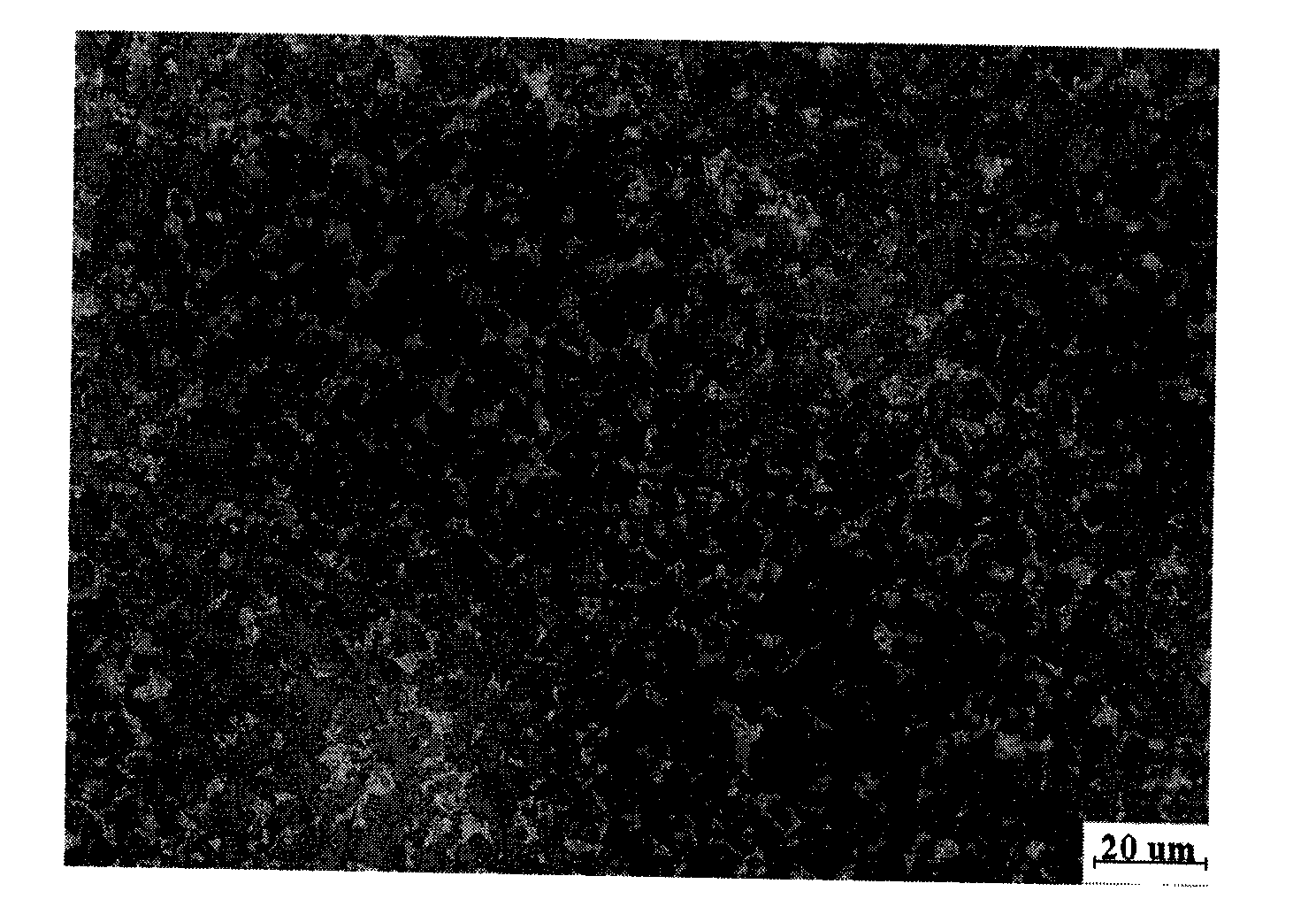 Silicon-aluminum bicontinuous composite material and preparation method thereof