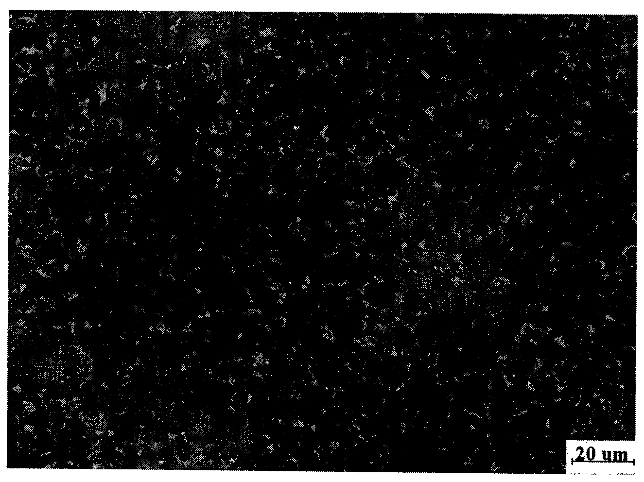 Silicon-aluminum bicontinuous composite material and preparation method thereof