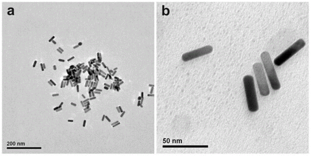 Preparation method and application of graphene oxide-gold nano-rod composite nano-material