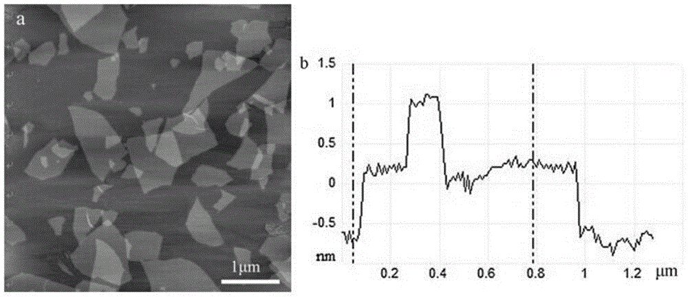 Preparation method and application of graphene oxide-gold nano-rod composite nano-material