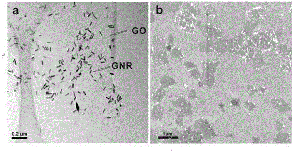 Preparation method and application of graphene oxide-gold nano-rod composite nano-material