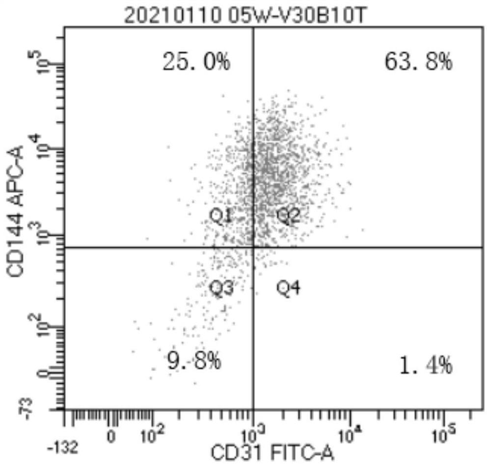 Induced Human Pluripotent Stem Cell Directed Endothelial Differentiation Method