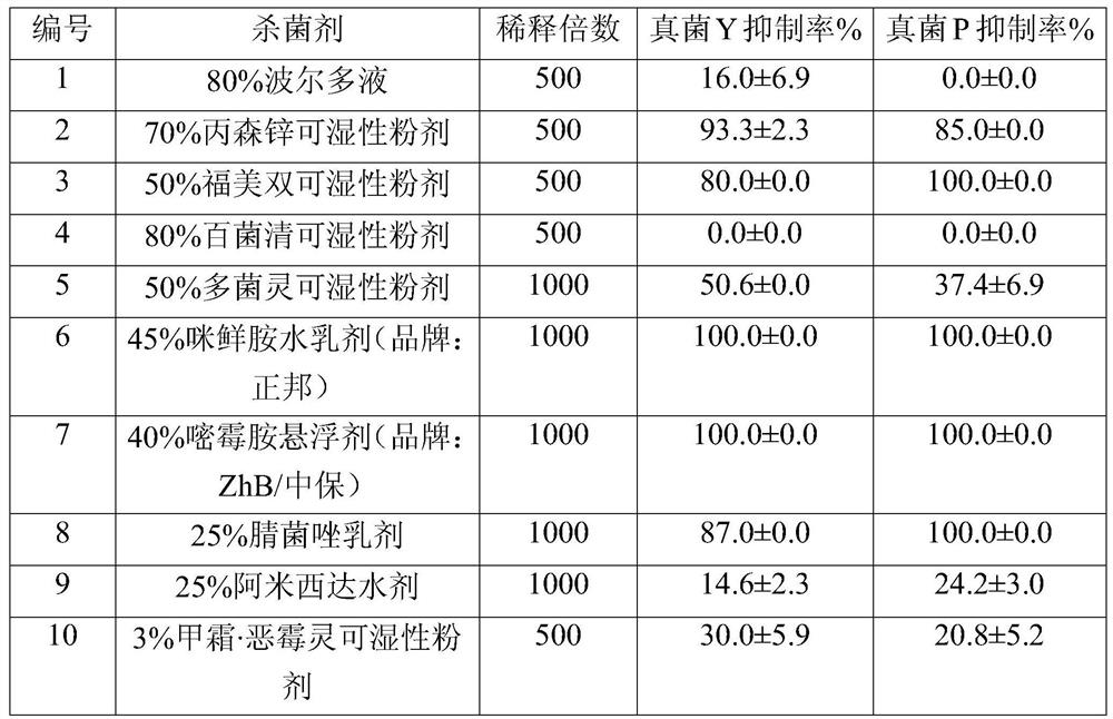 A kind of comprehensive prevention and control method of palm leaf raspberry wilt