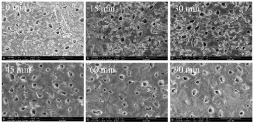 Superstable silver-tantalum composite surface-reinforced Raman scattering substrate and preparation method