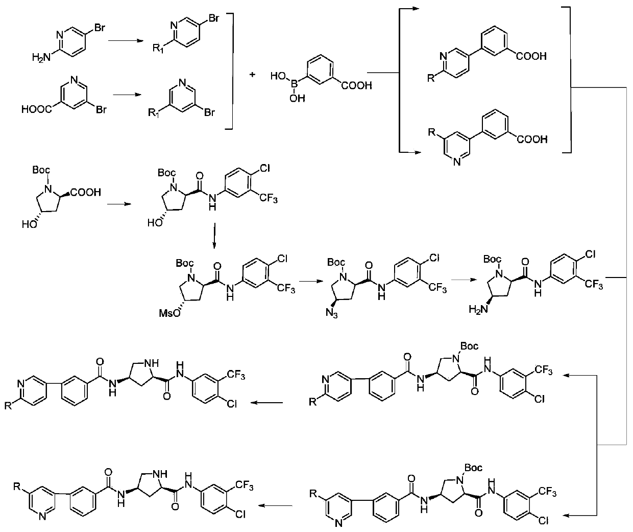 Hydroxyproline peptoid derivative and preparation method and application thereof