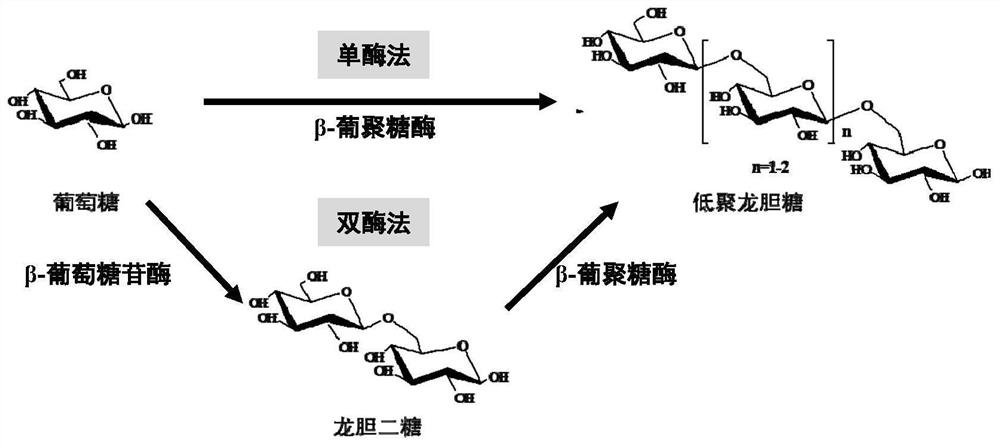 Method for preparing gentiosaccharide oligosaccharides by using β-1,6-glucanase and its application