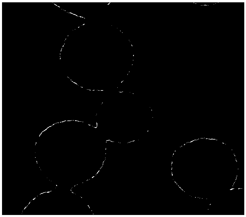 Mesoporous polydopamine liquid-state fluorine-carbon-entrapped ultrasonic contrast medium and preparation method thereof