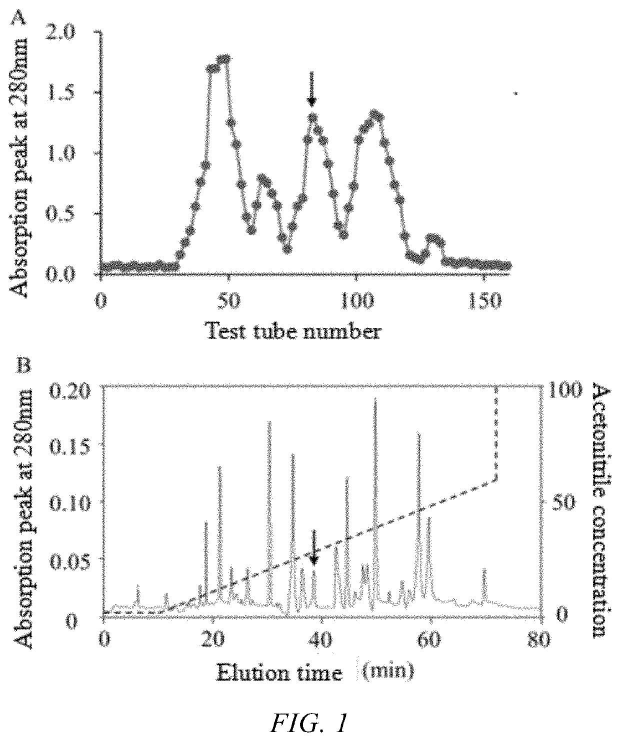 Antibacterial peptide derived from erythroculter ilishaeformis and use thereof