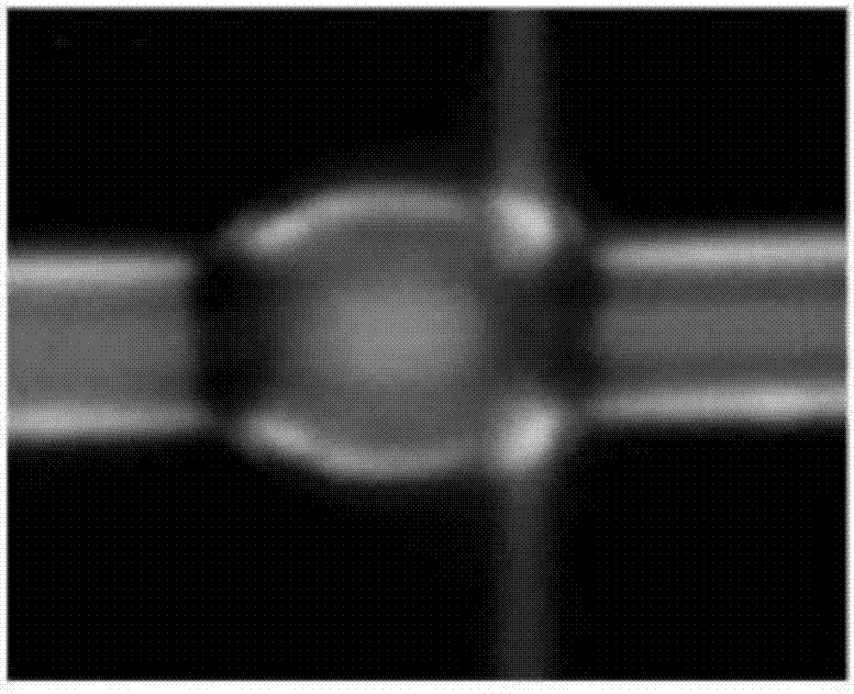 Micro-fiber probe loss modulation-based polymer bottle micro-cavity single-mode laser component