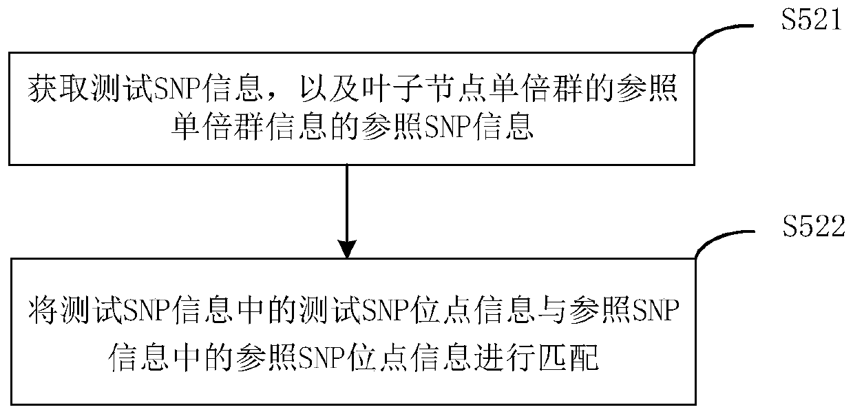 A method for detecting y haplogroup