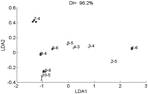 Method of using electronic tongue to rapidly detect bitterness of berberine hydrochloride