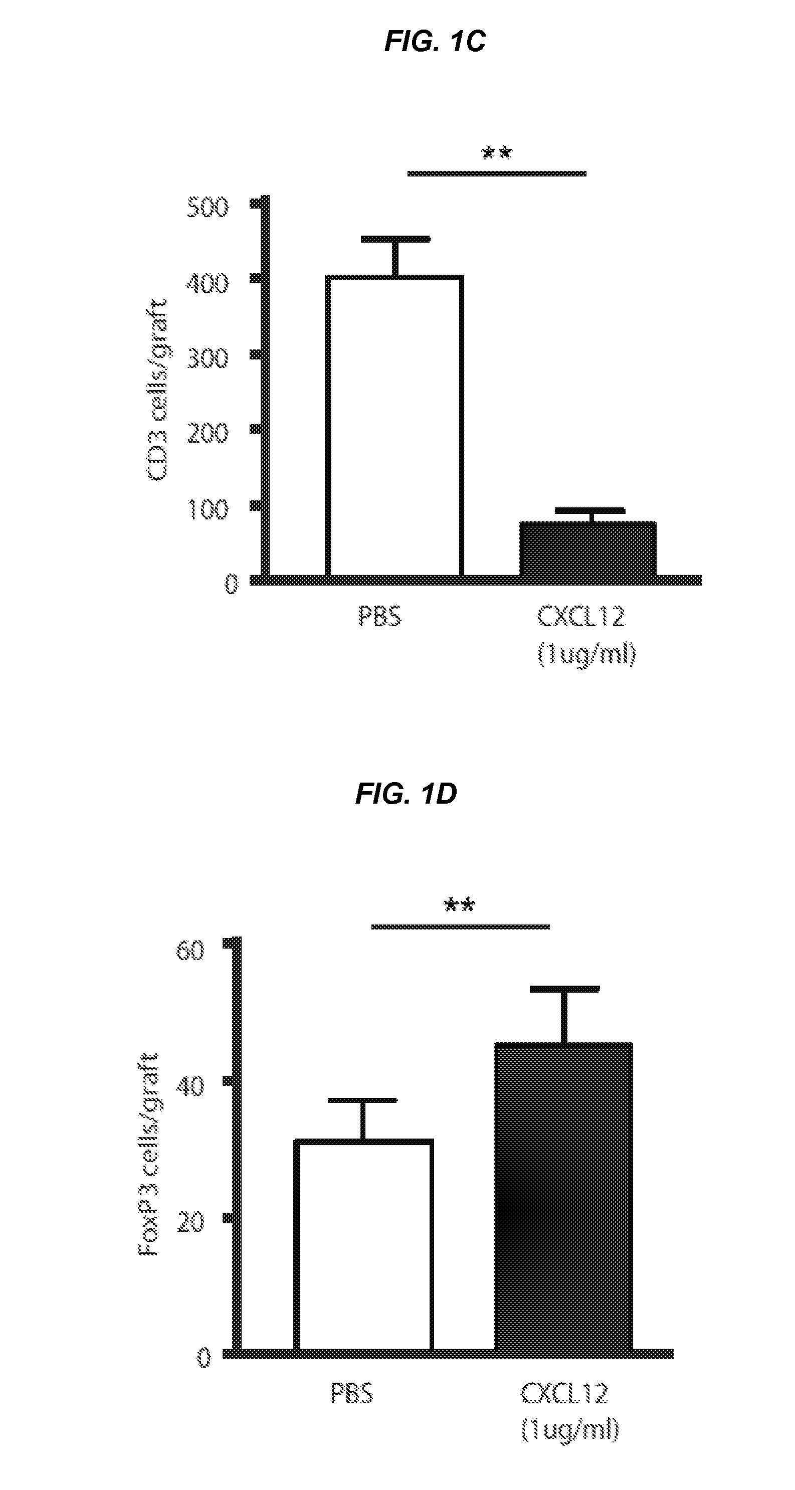 Eluting Matrix and Uses Thereof