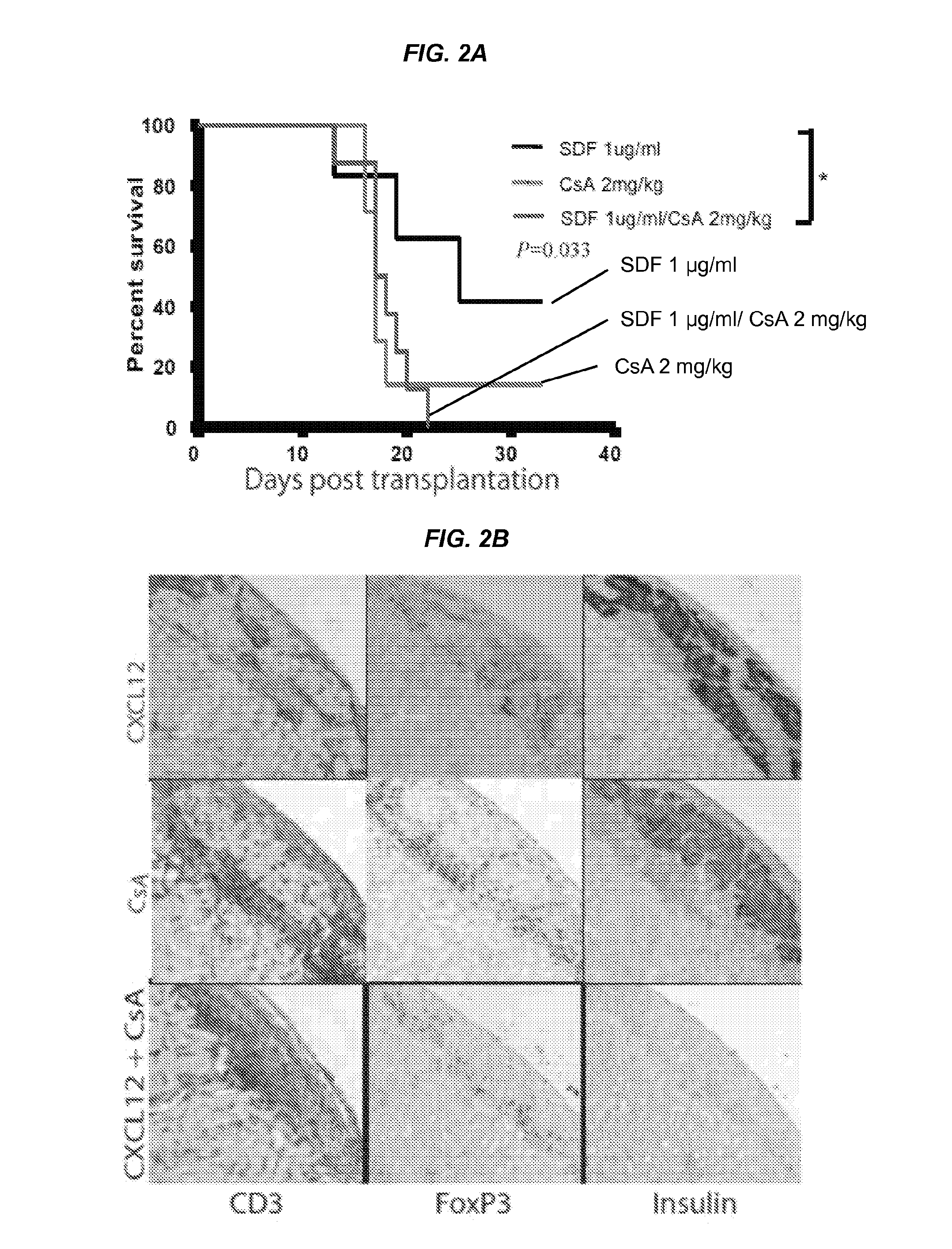 Eluting Matrix and Uses Thereof