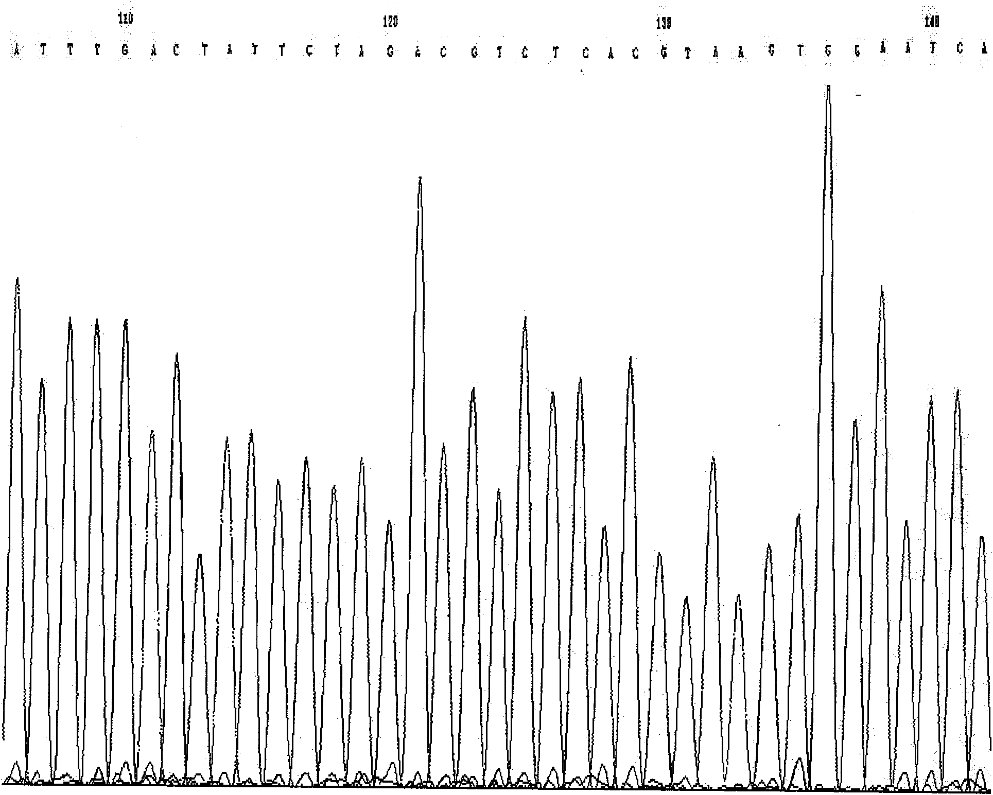 Method and kit for detecting rs2878677 locus of susceptibility gene of hypertension