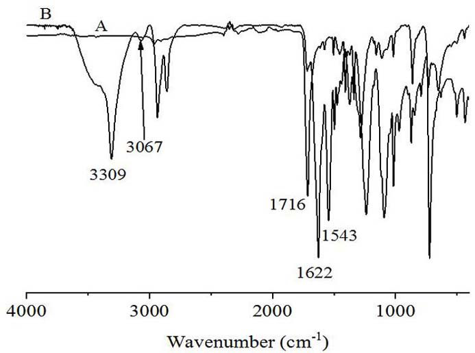 Method for preparing high-temperature-resistant nylon by utilizing amidation reaction of polyester