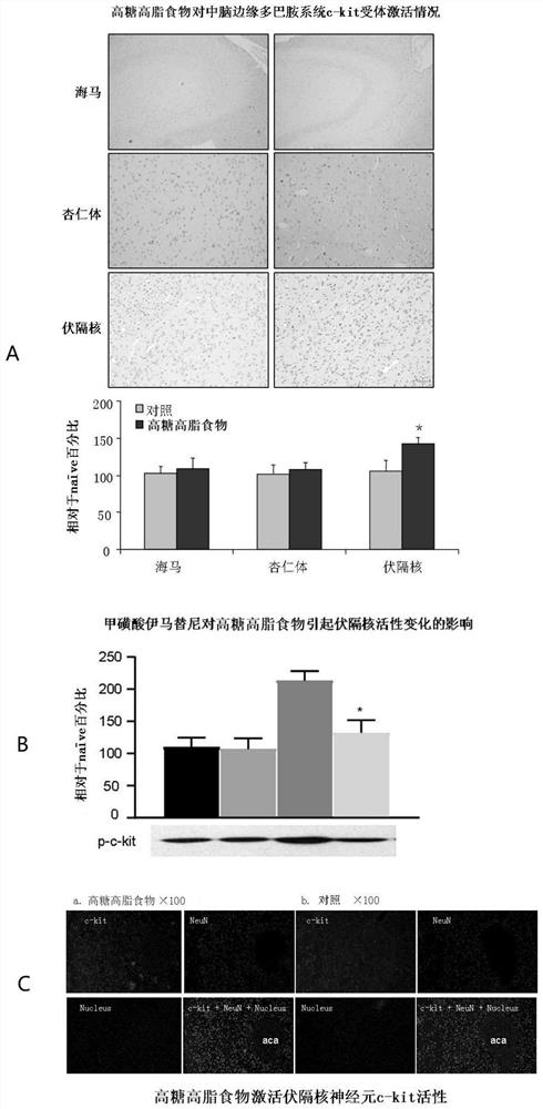 Use of c-kit as a therapeutic target for behavioral addictions