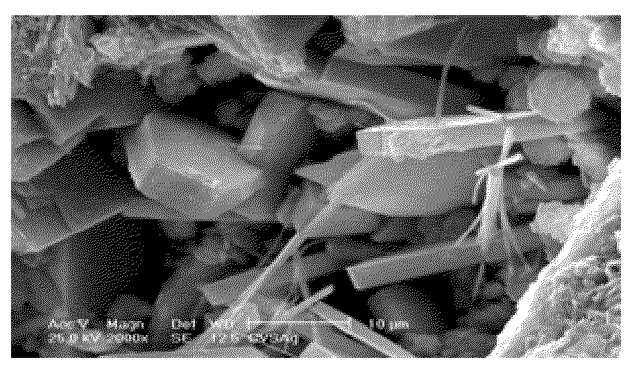 Compound for agricultural soil