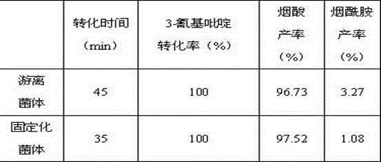 Method of immobilizing gibberella and using gibberella for biological transformation to prepare nicotinic acid