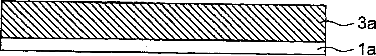 Negative electrode of rechargeable battery