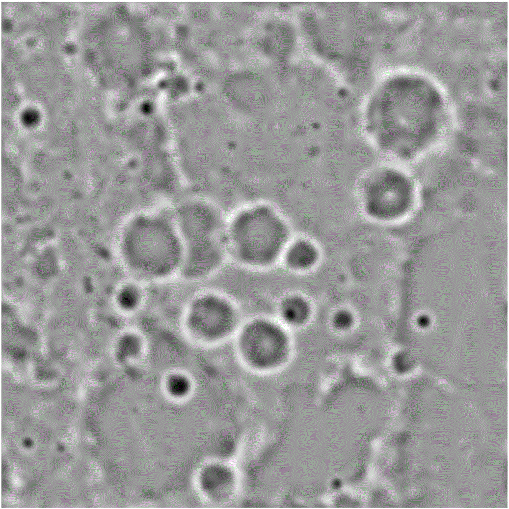 A dem-based method for automatic identification and boundary extraction of lunar impact craters