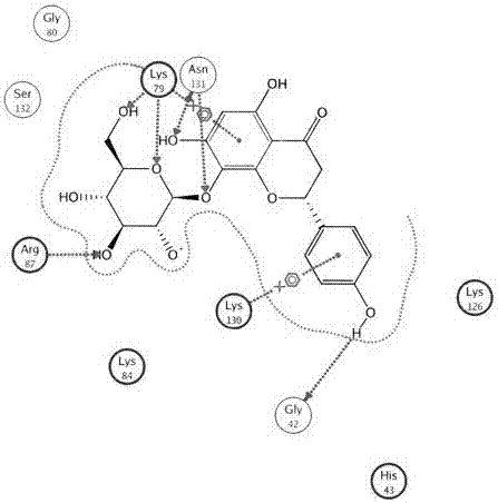 Application of epigallocatechin gallate (EGCG) in preparation of targeted drug