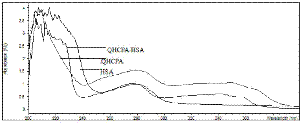 Monoclonal antibody and ELISA method and kit for detecting carbadox and cydox metabolites