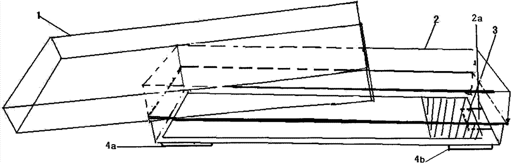 Culture apparatus special for in-situ culture of amniotic fluid/chorionic cells and application thereof