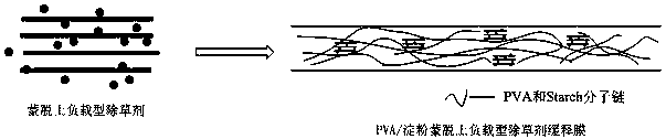 A kind of pva/starch slow-release film with herbicide controlled-release performance and preparation method thereof