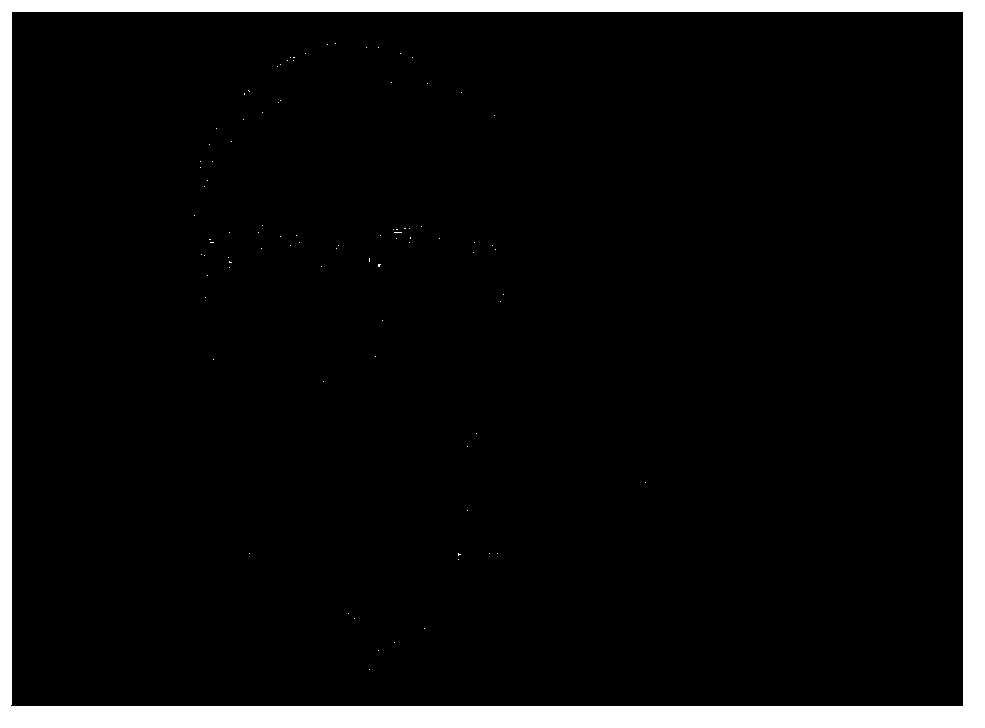 Facial expression recognition input method