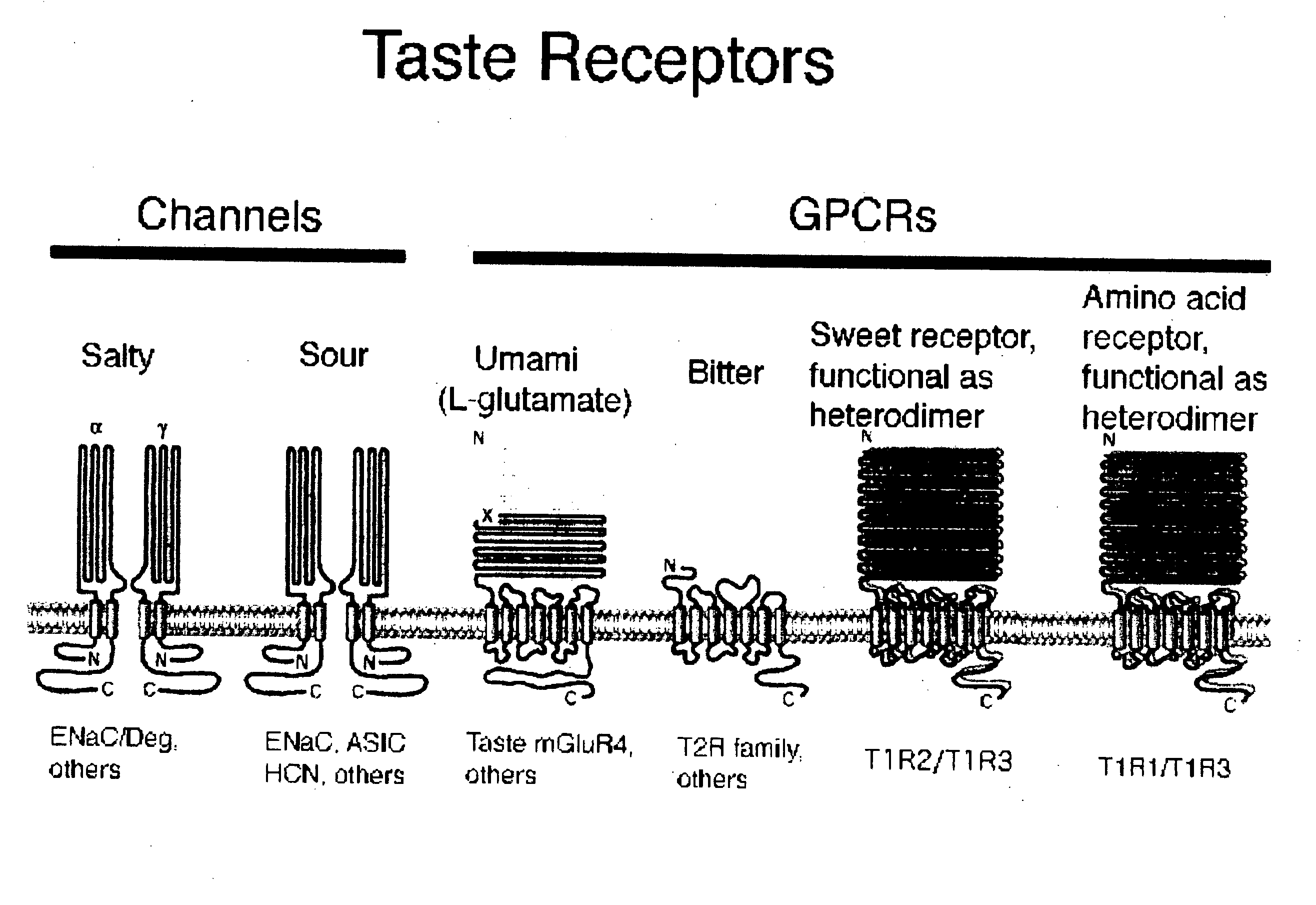 Novel Test Method For Taste Abnormality