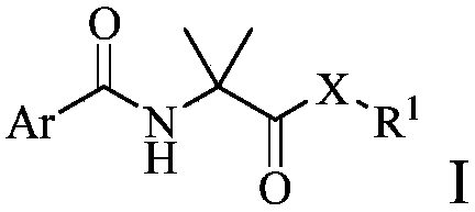 Arylamino isobutyryl derivative and application thereof