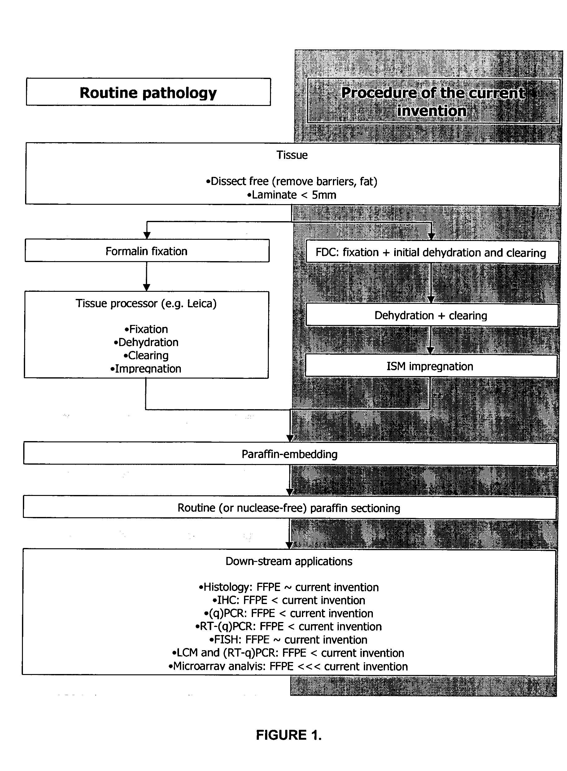 Methods, Reagents and Instrumentation for Preparing Impregnated Tissue Samples Suitable for Histopathological and Molecular Studies