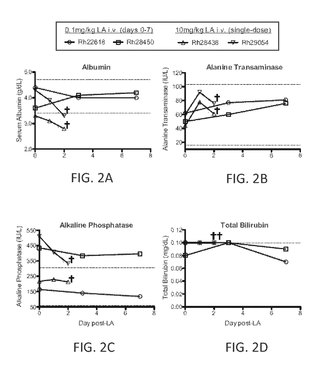 Use of bisphosphonates as HIV/AIDS adjunctive treatment