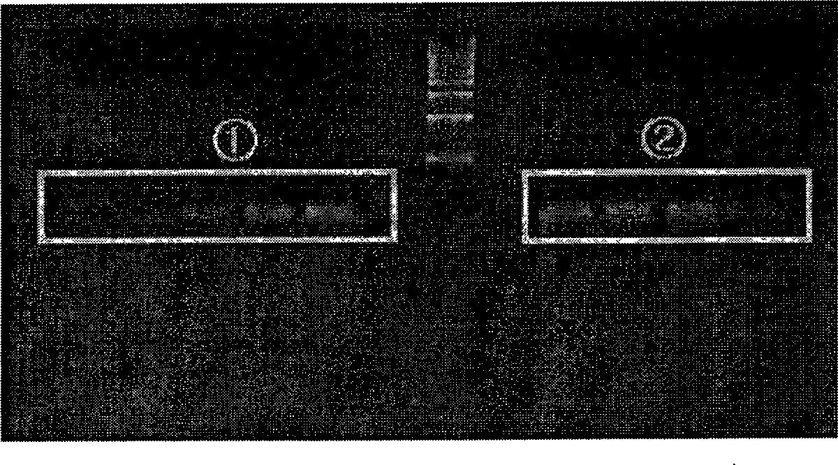 Recombinant adeno-associated virus comprising VEGFR Truncated Soluble cDNA and gene therapeutic agent comprising the same