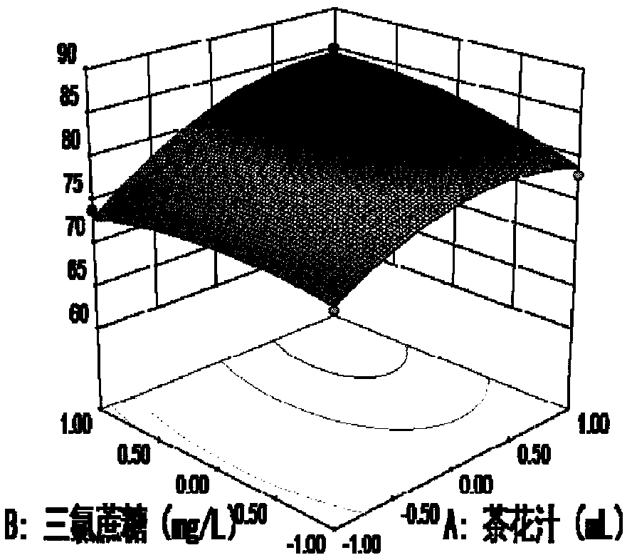 Tea flower juice as well as extracting method thereof, tea flower juice beverage and preparation method thereof