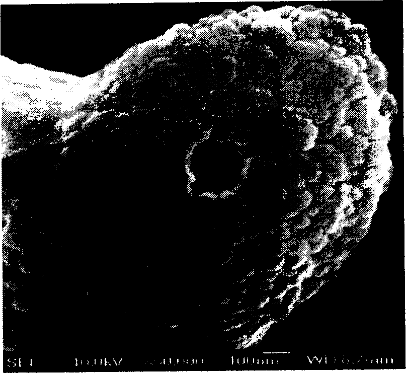 Process for synthesis of nano mordenite molecular sieve