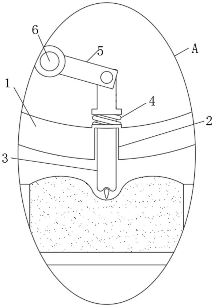 Camellia oleifera seedling raising device for sandy soil regions