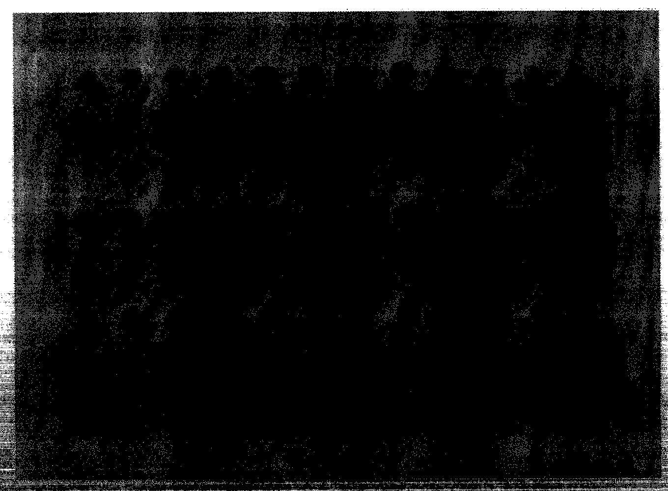 Faded shewanella oneidensis LCT-SM262 strain in space environment